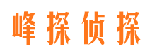 广西侦探公司